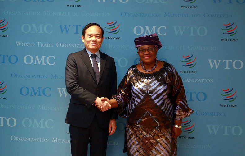 Phó Thủ tướng Trần Lưu Quang gặp lãnh đạo các nước và các tổ chức quốc tế ảnh 4