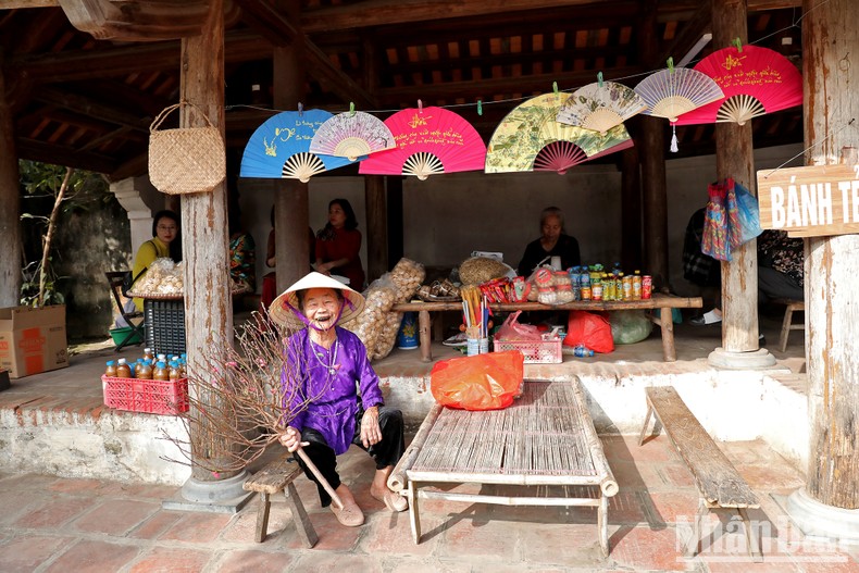 [Ảnh] Bạn bè quốc tế thưởng thức Tết Việt giữa làng cổ ảnh 12