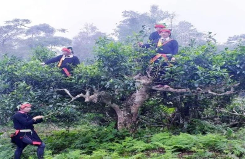 Nhiều khó khăn, thách thức trong phát triển du lịch nông nghiệp nông thôn ảnh 2