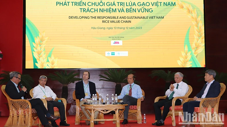 Phát triển chuỗi giá trị lúa gạo Việt Nam trách nhiệm và bền vững ảnh 1