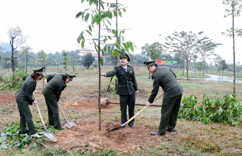 Phú Thọ phấn đấu trồng mới 9.000ha rừng tập trung ảnh 1