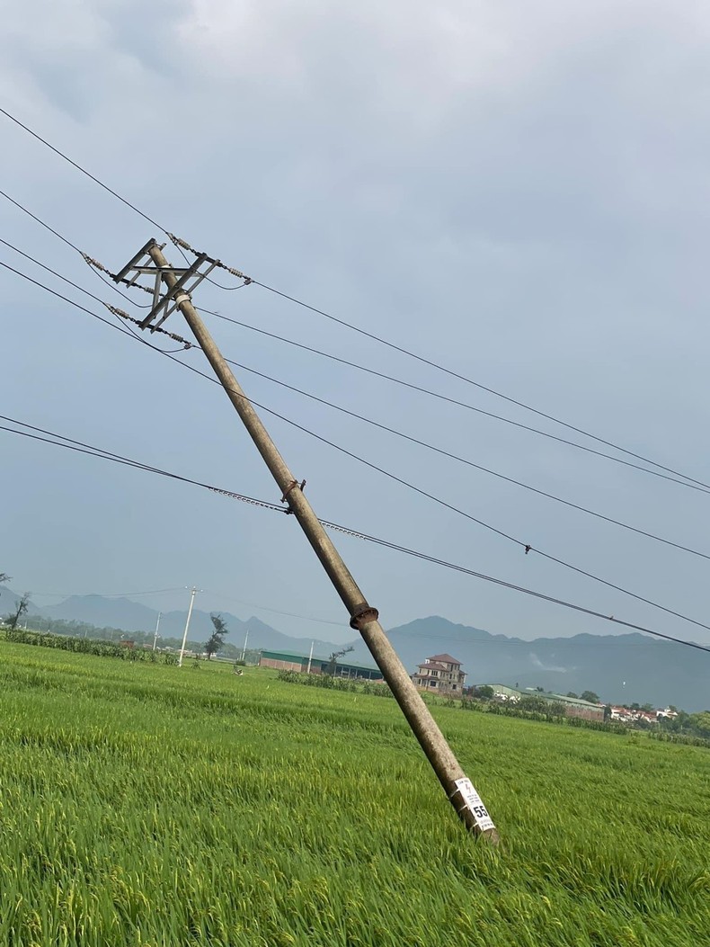 Phú Thọ: Mưa lớn làm 243 nhà bị tốc mái, 1.300 ha lúa ngô bị thiệt hại ảnh 1