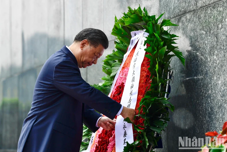 [Ảnh] Tổng Bí thư, Chủ tịch Trung Quốc Tập Cận Bình vào Lăng viếng Chủ tịch Hồ Chí Minh ảnh 3