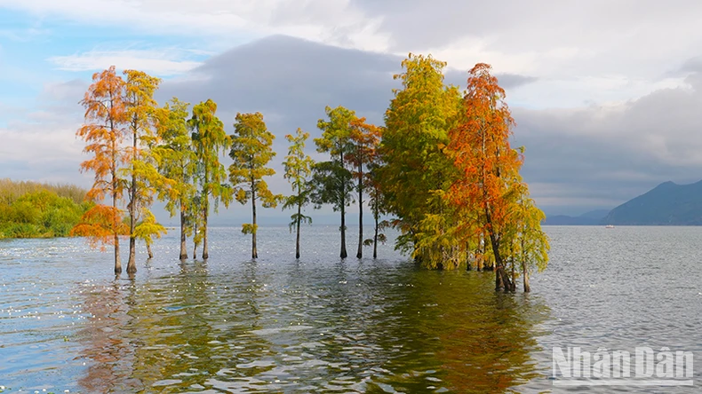Bảo vệ môi trường gắn với phát triển du lịch bền vững ở hồ Nhĩ Hải, Trung Quốc ảnh 1