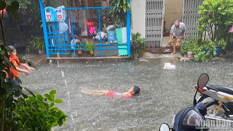 Hơn 19.000ha lúa ở Cà Mau chìm trong nước ảnh 3