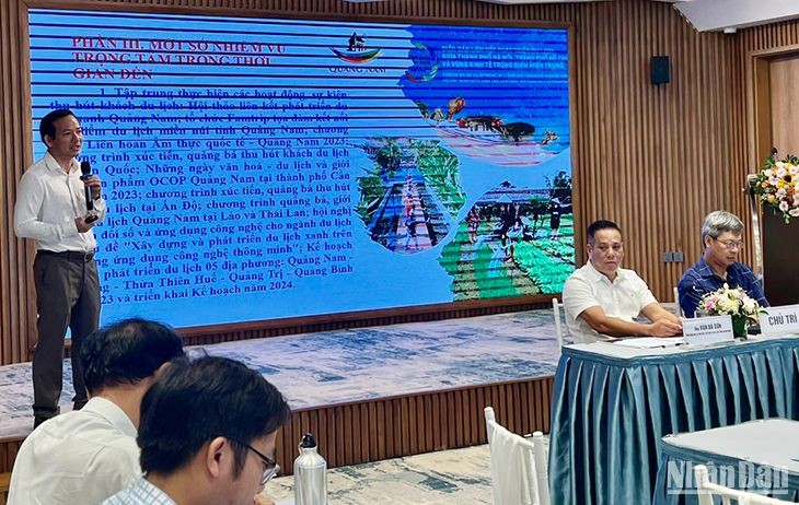 Quảng Nam tìm giải pháp phát triển du lịch biển ảnh 1