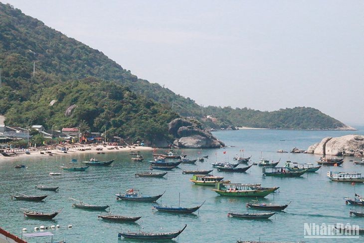 Quảng Nam tìm giải pháp phát triển du lịch biển ảnh 2