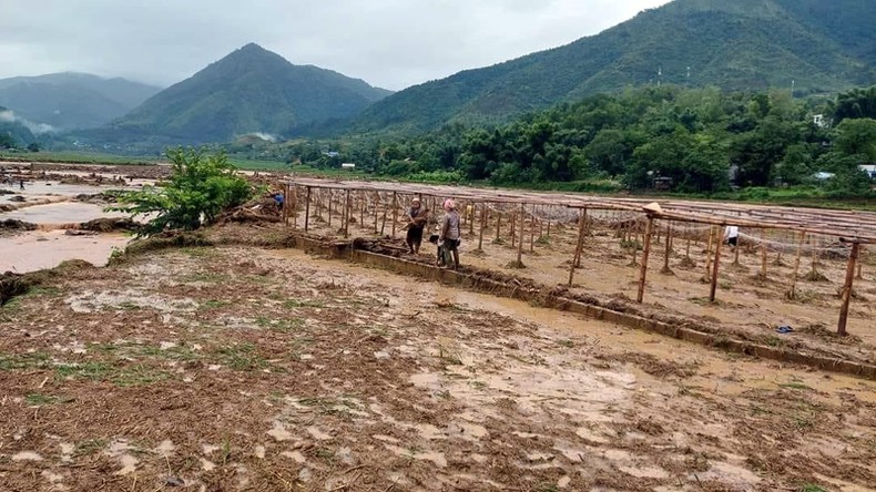 Lai Châu tập trung khắc phục hậu quả mưa lũ ảnh 2