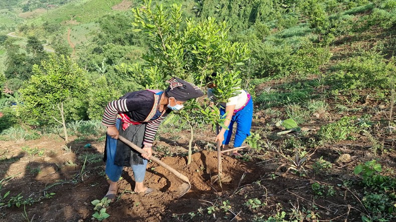 Bài 3: Bình minh sau lớp sương mờ ảnh 5