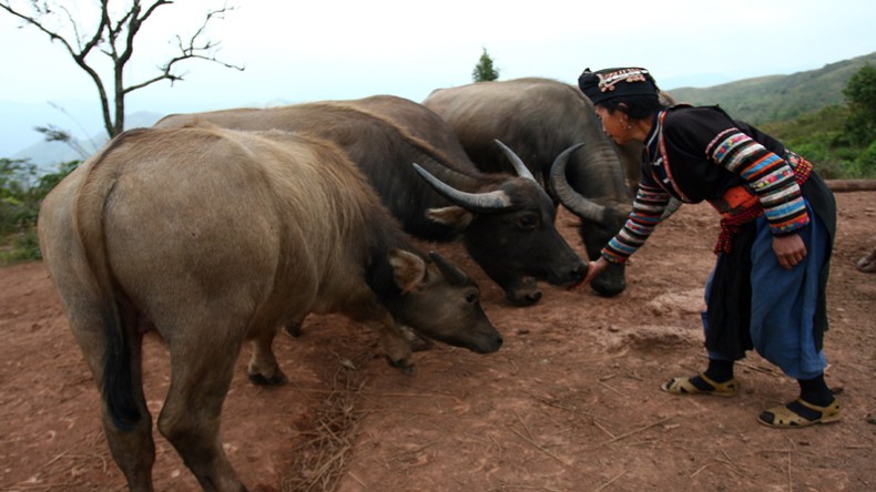 Bài 3: Bình minh sau lớp sương mờ ảnh 4