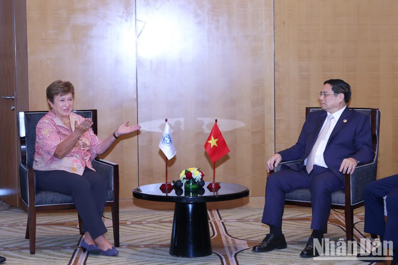 Việt Nam sẵn sàng chung tay cùng IMF triển khai các biện pháp thúc đẩy phục hồi kinh tế ảnh 1