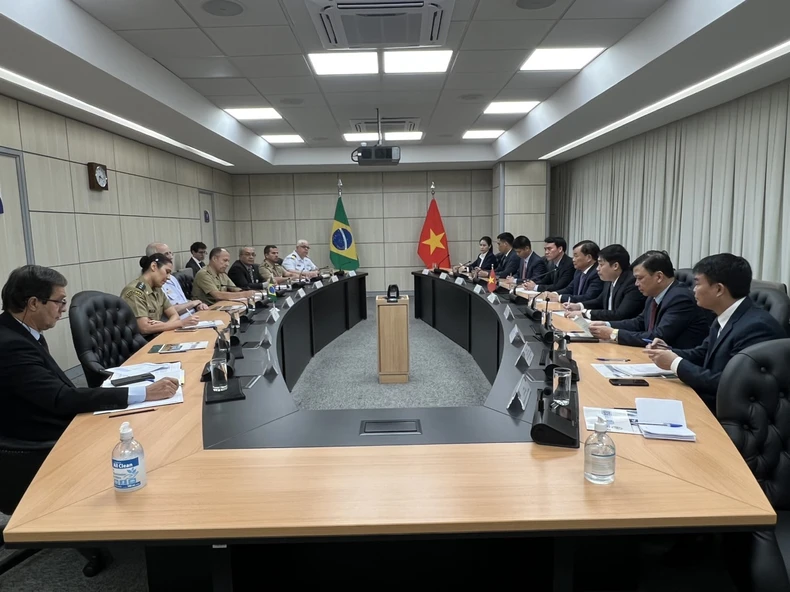 Tăng cường giao lưu, hợp tác quốc phòng giữa Việt Nam và Brazil ảnh 1