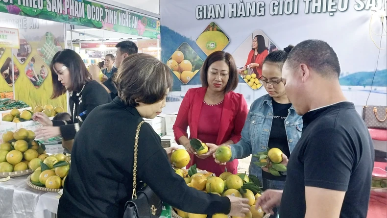 Hơn 250 gian hàng tham gia “Hội chợ công thương vùng Bắc Trung Bộ-Nghệ An 2023” ảnh 1