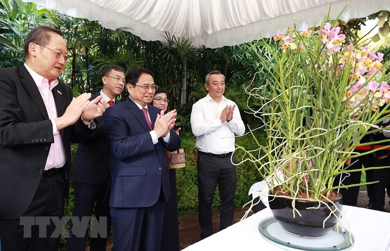 [Ảnh] Thủ tướng và Phu nhân dự lễ đặt tên hoa lan tại Vườn Thực vật Singapore ảnh 1