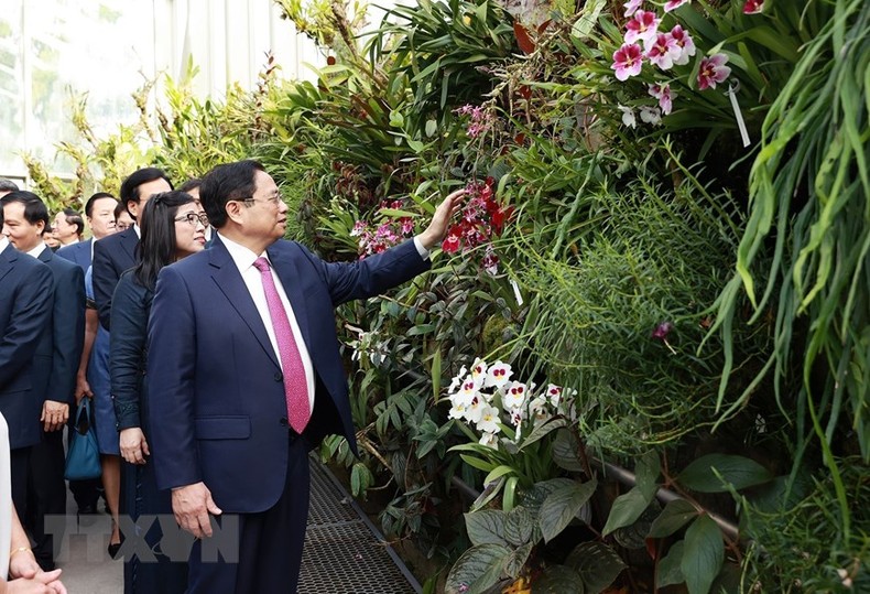 [Ảnh] Thủ tướng và Phu nhân dự lễ đặt tên hoa lan tại Vườn Thực vật Singapore ảnh 3