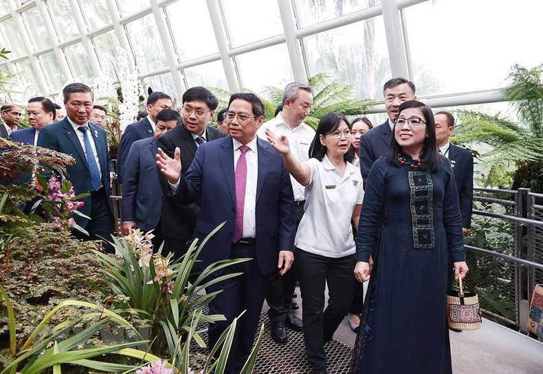 [Ảnh] Thủ tướng và Phu nhân dự lễ đặt tên hoa lan tại Vườn Thực vật Singapore ảnh 4