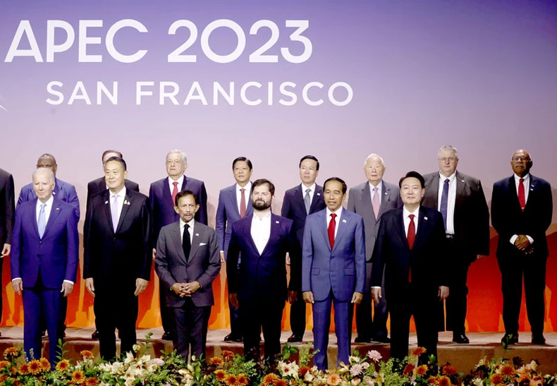[Ảnh] Chủ tịch nước dự Phiên chụp ảnh chung với các Nhà lãnh đạo kinh tế APEC ảnh 2