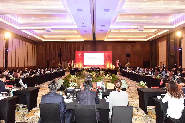 Thúc đẩy hợp tác phục hồi và phát triển du lịch trong ASEAN+3 ảnh 1