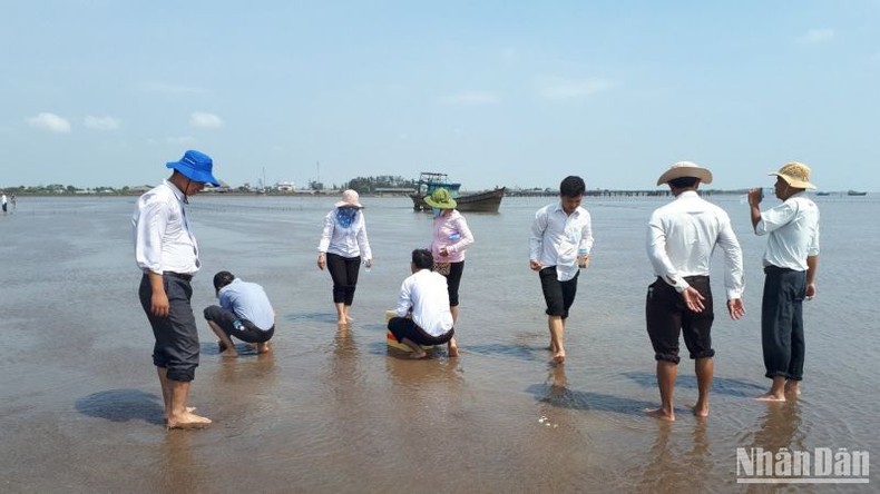 Tiền Giang: Nghêu chết hàng loạt chưa rõ nguyên nhân ảnh 1