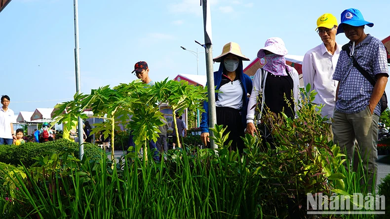 Tìm giải pháp để hoa kiểng tiếp cận nhiều thị trường tiềm năng ảnh 3