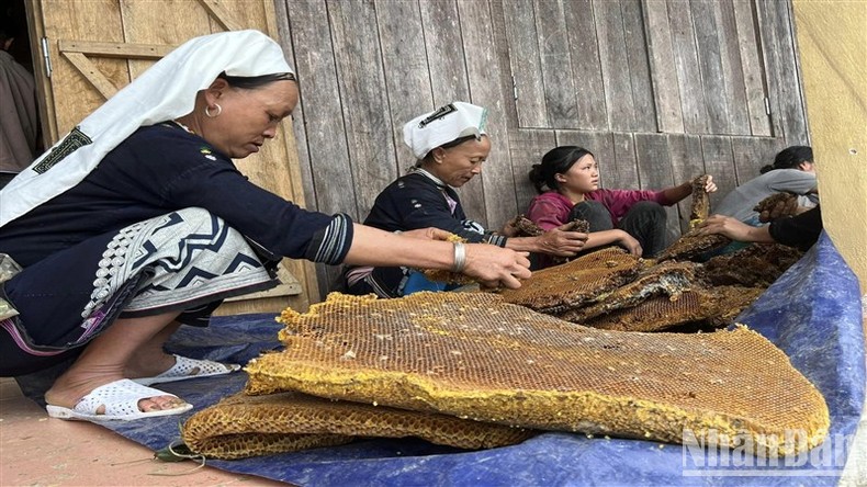 Rộn ràng ngày thu hoạch sáp ong ở Hoài Khao ảnh 3