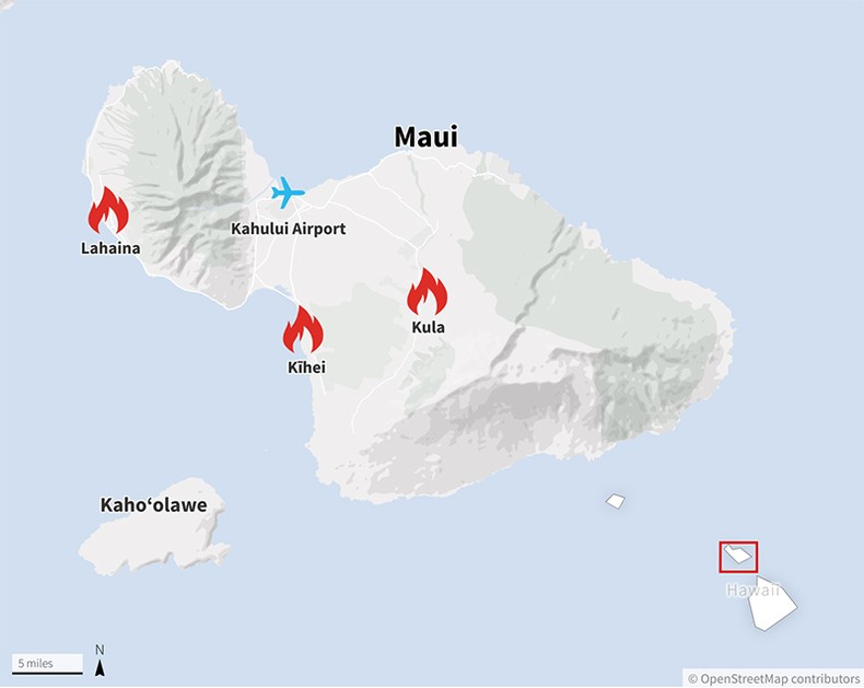 Cháy rừng tại Hawaii bùng lên dữ dội như thế nào? ảnh 2