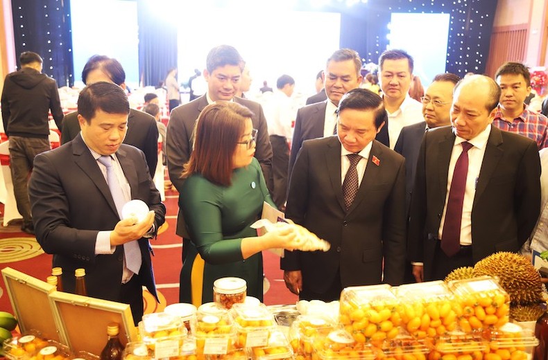 Tăng cường hợp tác giữa hai tỉnh Đắk Lắk và Khánh Hòa ảnh 1