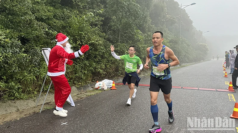 Gần 2.000 vận động viên tranh tài tại giải chạy Sơn Trà Run Challenge 2023 ảnh 1