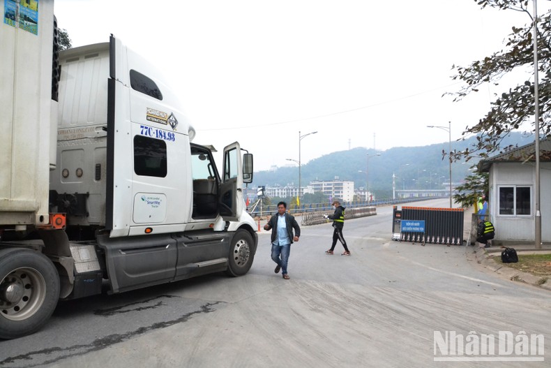 Hơn 150 tấn thanh long xuất khẩu “xông đất” Cửa khẩu Kim Thành sáng mùng 1 Tết ảnh 2