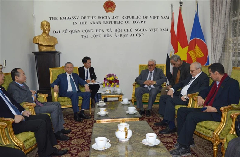 Tăng cường quan hệ hữu nghị và hợp tác Việt Nam-Ai Cập ảnh 1