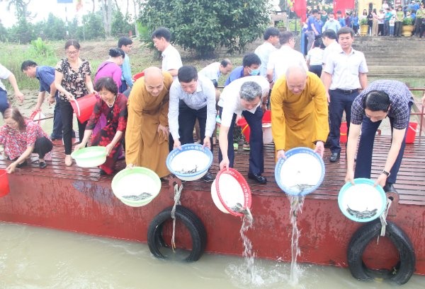 Thả cá giống tái tạo nguồn lợi thủy sản ảnh 3