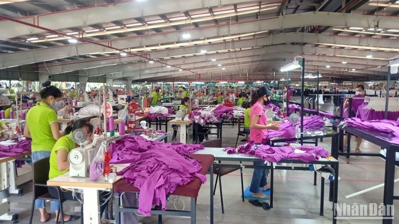Hơn 300 doanh nghiệp ở Thái Bình gặp khó khăn trong sản xuất, kinh doanh ảnh 1