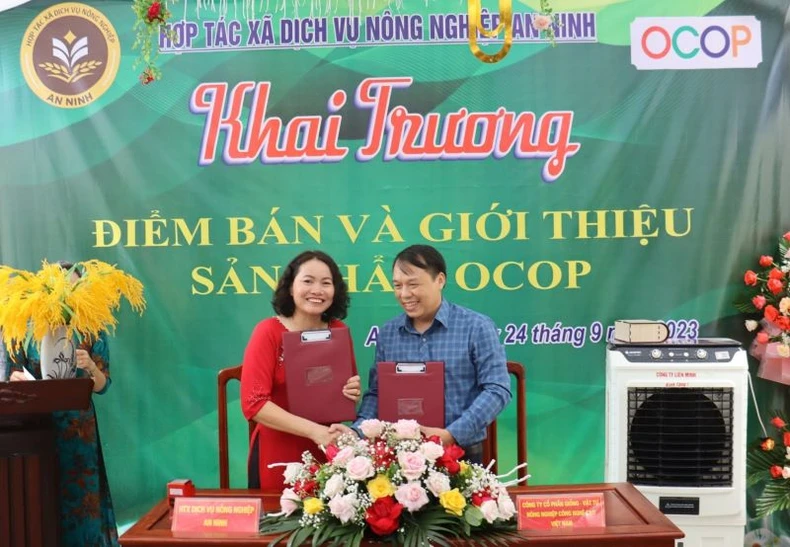 Thái Bình khai trương điểm bán sản phẩm OCOP đầu tiên tại Hợp tác xã dịch vụ ảnh 3