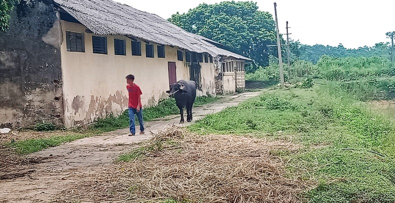 Cần phát huy năng lực đơn vị sự nghiệp khoa học chăn nuôi ảnh 1