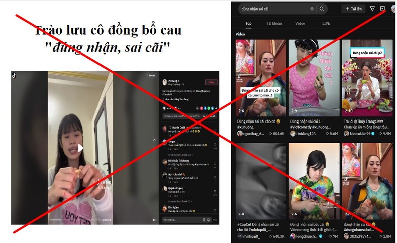Bộ Thông tin và Truyền thông: Những nội dung vi phạm của TikTok tại Việt Nam ảnh 2