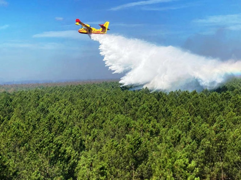 Pháp tăng cường biện pháp phòng, chống cháy rừng trong mùa hè 2023 ảnh 2