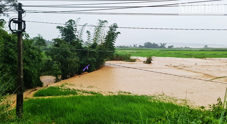 Kon Tum: Tỉnh lộ 675 bị chia cắt do mưa lớn ảnh 1