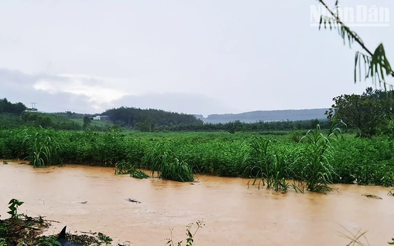 Kon Tum: Tỉnh lộ 675 bị chia cắt do mưa lớn ảnh 2