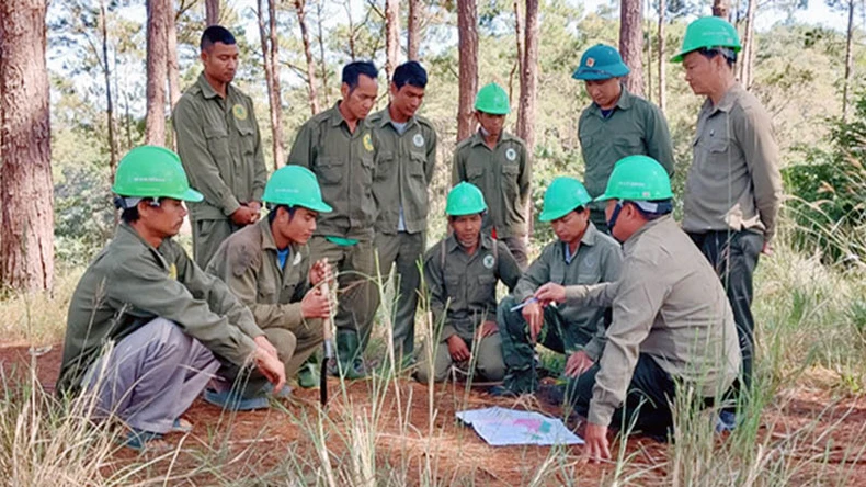 Dịch vụ môi trường rừng tạo thêm sinh kế cho người giữ rừng tại Lâm Đồng ảnh 2
