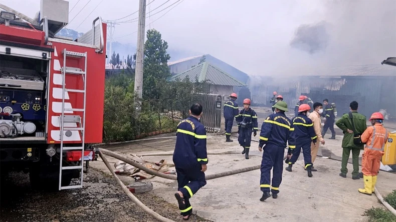 Hỏa hoạn thiêu rụi khu sản xuất nấm của một cơ sở tại Lâm Đồng ảnh 1