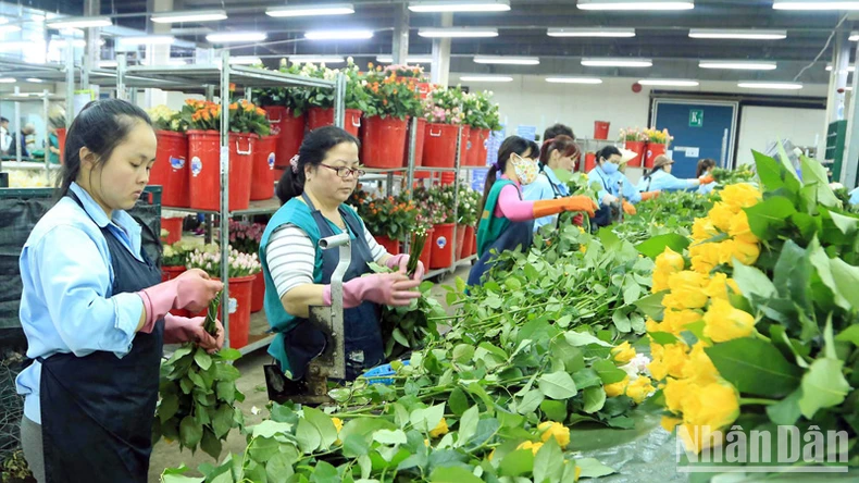 Lâm Đồng: Khơi thông các “điểm nghẽn” trong phát triển kinh tế-xã hội ảnh 2