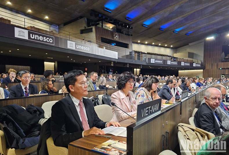 Việt Nam tham dự Kỳ họp lần thứ 216 Hội đồng Chấp hành của UNESCO ảnh 1