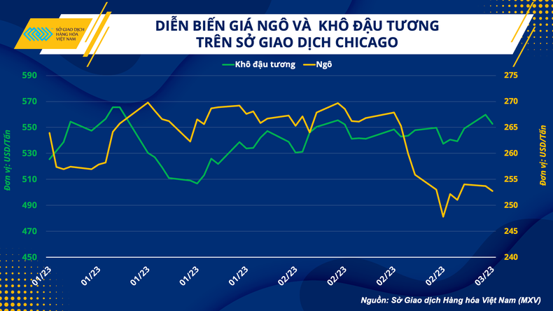 Ngược dòng nhóm nông sản, vì sao giá khô đậu tương vẫn duy trì ở vùng giá cao nhất trong gần 1 thập kỷ? ảnh 1