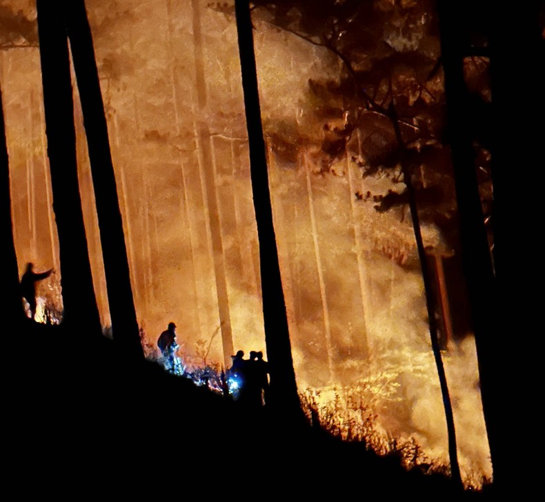 Xuyên đêm chữa cháy rừng trên đèo Prenn-Đà Lạt ảnh 3