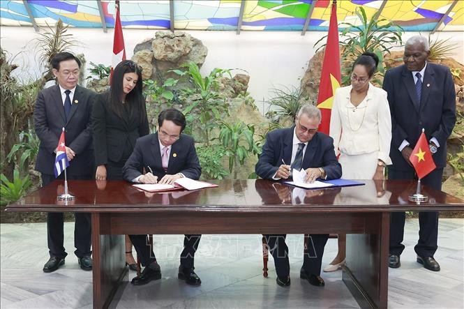 Việt Nam, Cuba chú trọng thúc đẩy hợp tác trong các lĩnh vực có thế mạnh và nhu cầu ảnh 1