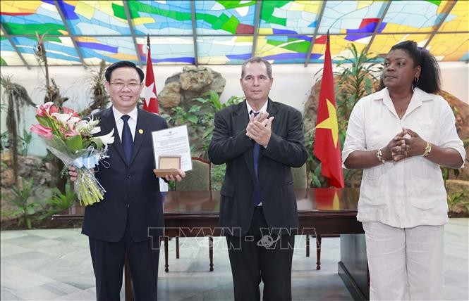 Việt Nam, Cuba chú trọng thúc đẩy hợp tác trong các lĩnh vực có thế mạnh và nhu cầu ảnh 3