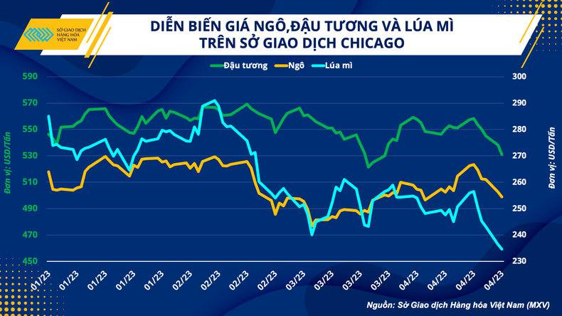 Hiện tượng El Nino và tác động tới ngành chăn nuôi Việt Nam ảnh 1