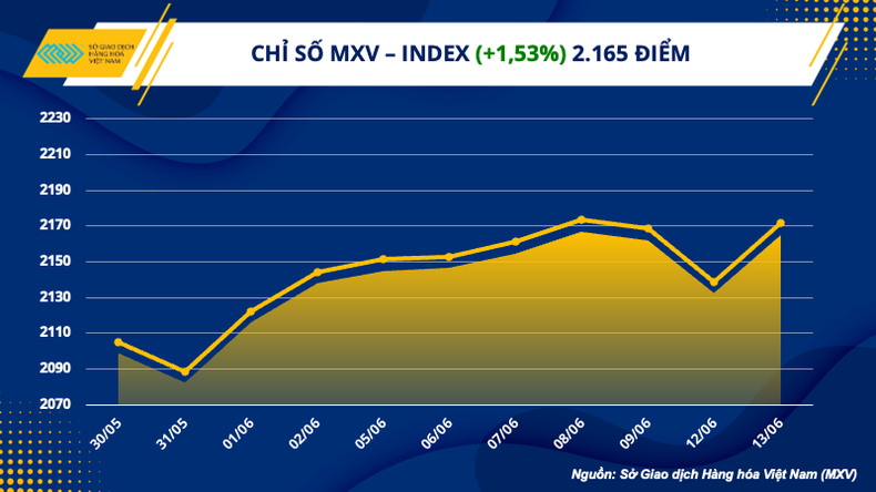 Giá trị giao dịch tại MXV đạt mức cao nhất từ tháng 11/2022 ảnh 1