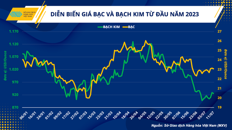 Giá kim loại quý và cơ hội thúc đẩy ngành năng lượng tái tạo ảnh 1