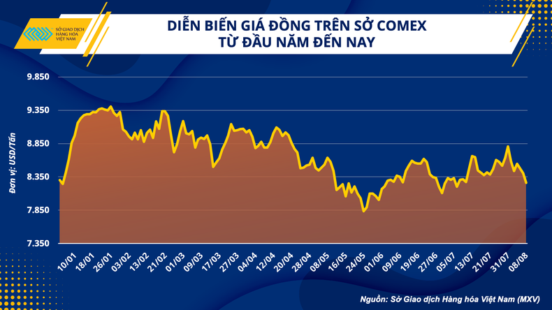 Bảo đảm nguồn cung đồng - điểm mấu chốt trong hành trình xanh hóa ảnh 1